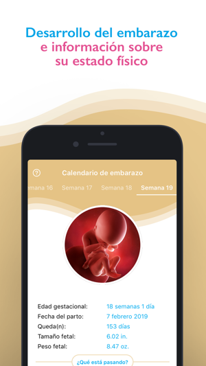 Semana 17 De Embarazo Ya Traga Embarazosemanaasemana 2019