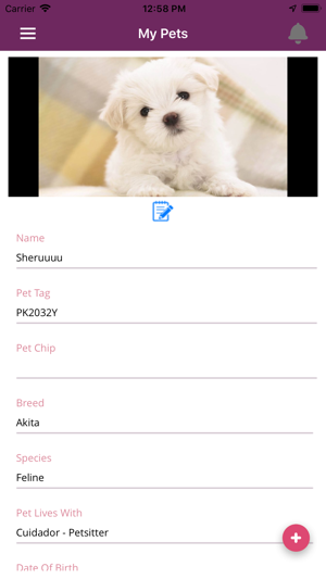 Pettracc(圖2)-速報App