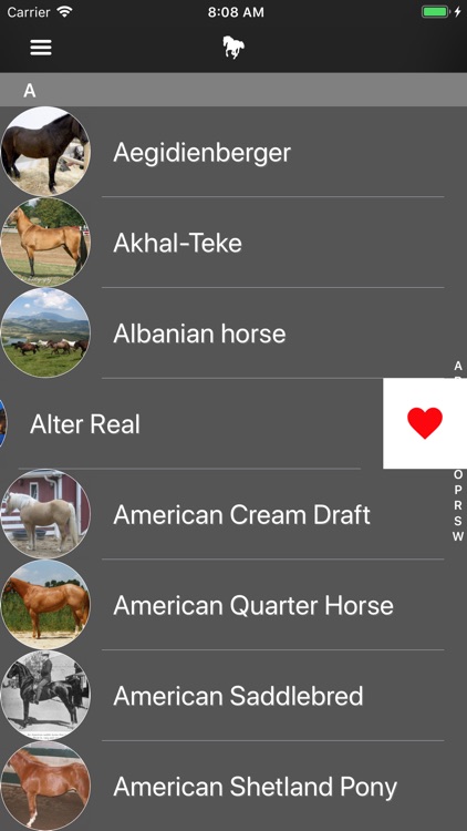 Horses 2.0 screenshot-7