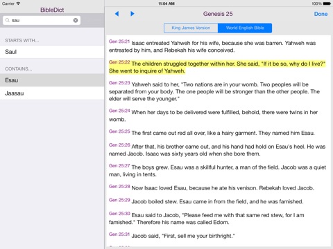 BibleDict for iPad screenshot 3