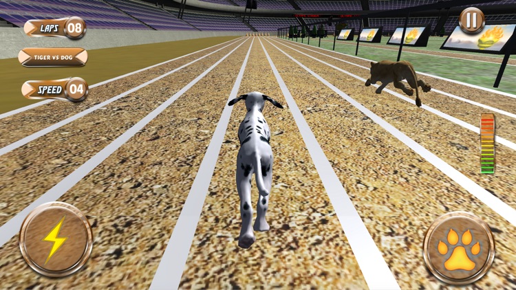 Greyhound Racing Tournament 2 screenshot-4