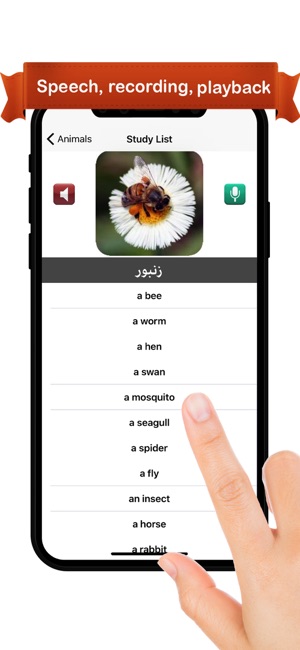 Learn Farsi™(圖3)-速報App