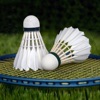 3D Badminton Sports Game