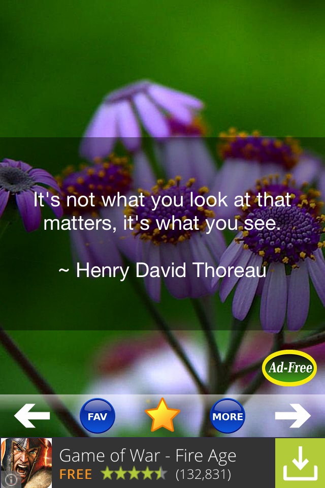 Inspirational Quotes & Sayings screenshot 2