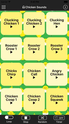 Game screenshot Chicken Sounds mod apk