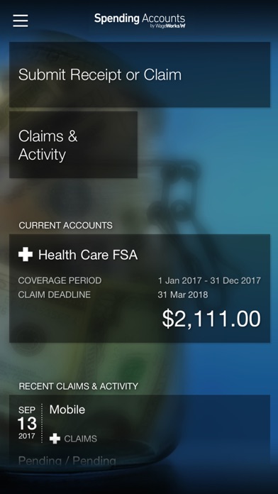 Spending Account (CHSA) screenshot 2