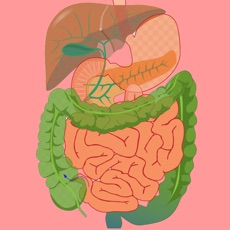 Activities of Digestive System Flashcards