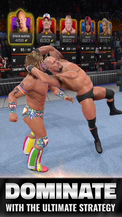 WWE Universe