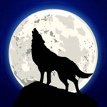 ワードウルフ　決定版アプリ