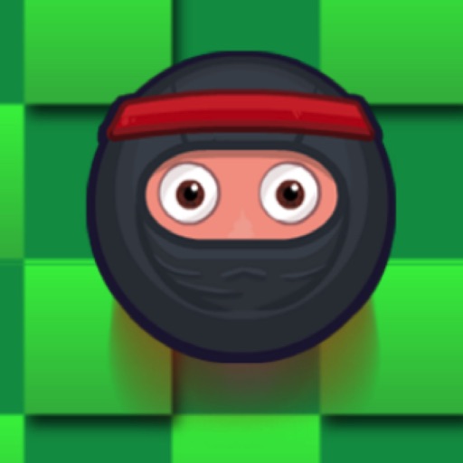 Ninja Escape icon