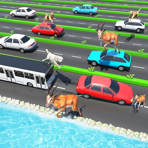 Animal Pet Traffic Crossing Icon
