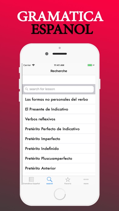 Gramatica Espanol screenshot 2