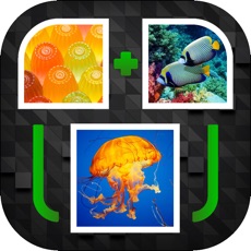 Activities of PicPicWord - New 2 Pics 1 Word Puzzle