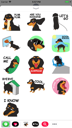 Daisy the Dachshund(圖3)-速報App