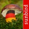 Dieser Pilzführer beschreibt im Detail 307 Pilzarten Deutschlands in 1