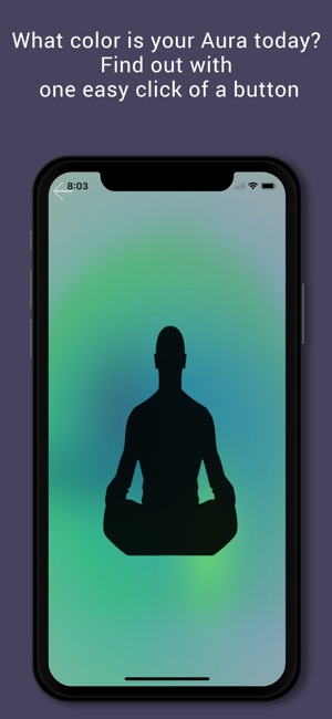 Insight Chakra Scan(圖5)-速報App