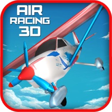 Activities of Air Racing Flight Simulator