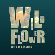 Wildflower Open Classroom CA