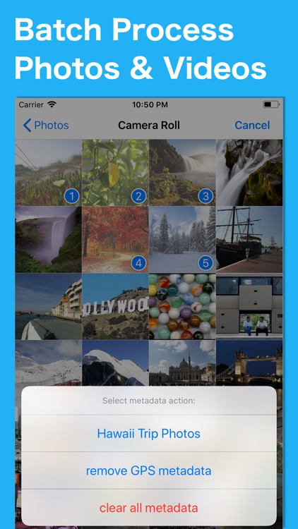 Metadata Pro screenshot-3