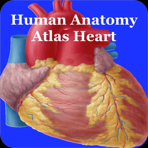 Human Heart Anatomy iOS App