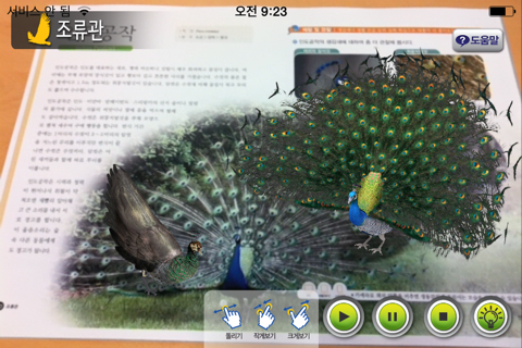 AR 조류관 - 알짬교육 자연사 박물관 시리즈 screenshot 4