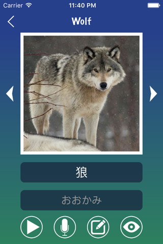 Japanese Word Flashcards Learn screenshot 3