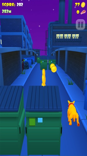 Super Fancy Run -Dog Adventure(圖4)-速報App