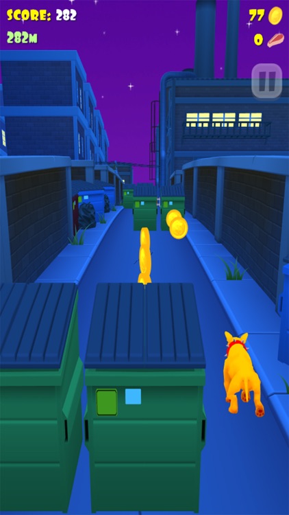 Super Fancy Run -Dog Adventure screenshot-3