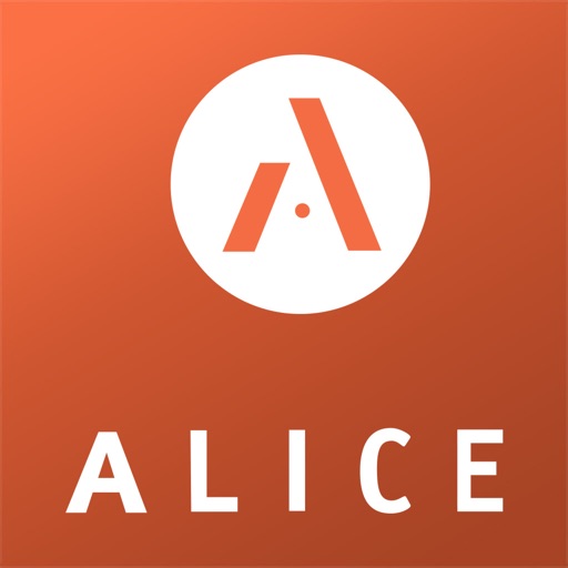 ALICE System