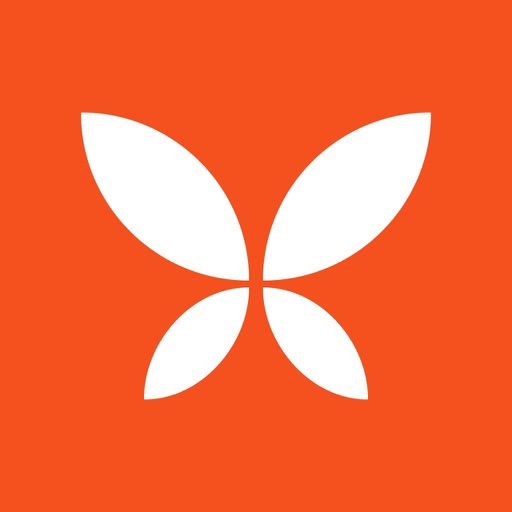 Butterfleye - Security Camera