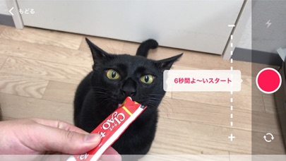 ちゅーるメーカー/ちゅ〜るCMが簡単に作れるアプリのスクリーンショット3 ちゅーるメーカー/ちゅ〜るCMが簡単に作れるアプリのスクリーンショット3