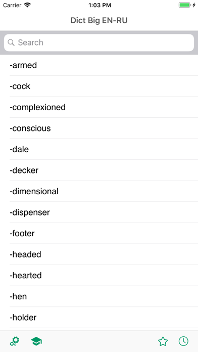 Dict Big EN-RU. English-Russian / Russian-English Dictionary Screenshot 1