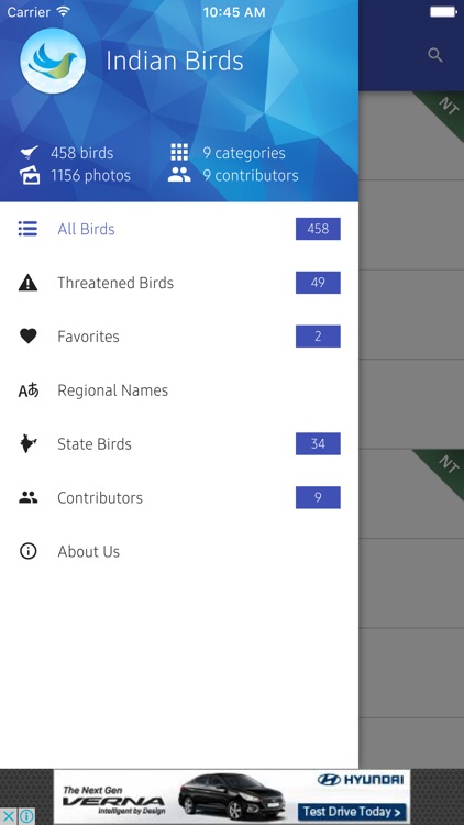India Birds