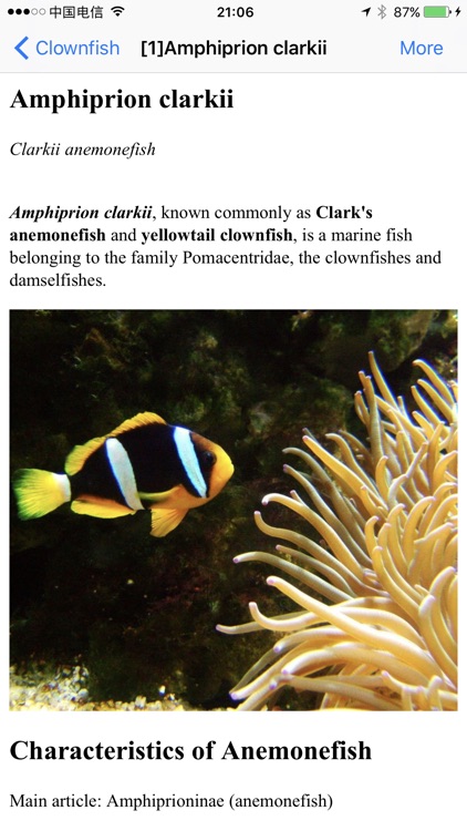 Marine Aquarium Fish