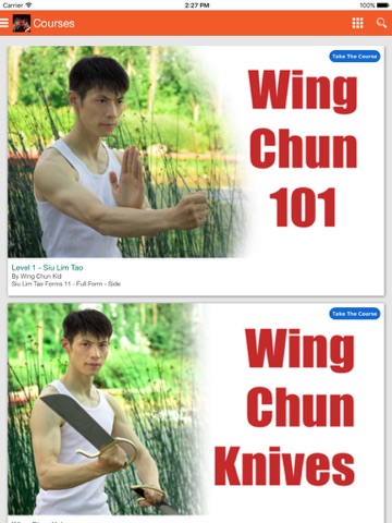 Wing Chun Kung Fu Self Defense screenshot 2