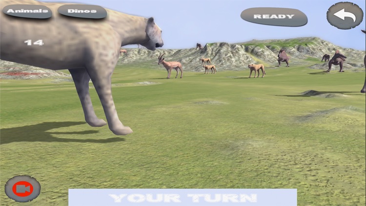 ANIMAL BEAST BATTLE SIMULATOR