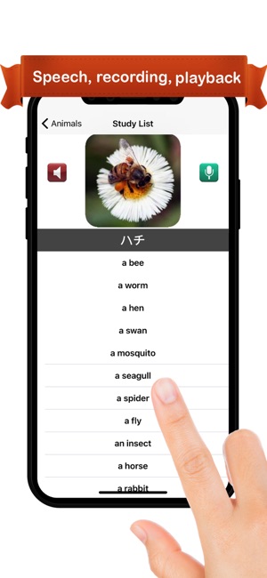 Learn Japanese™(圖2)-速報App