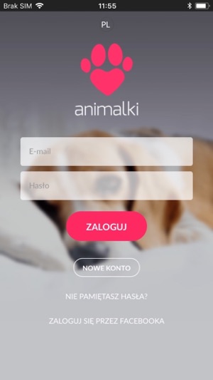 Animalki(圖1)-速報App