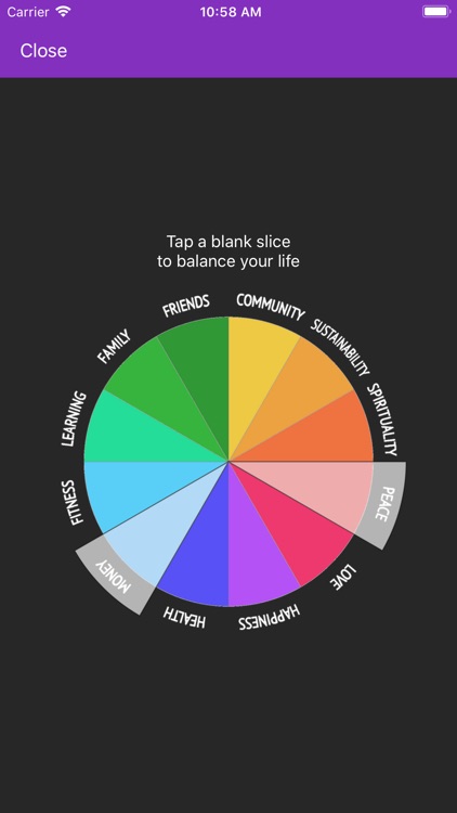Miwaresoft Wheel Of Life screenshot-0