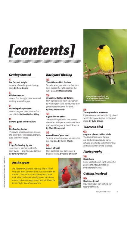 Ultimate Guide to Birdwatching