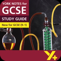 Frankenstein York Notes for GCSE 9-1 for iPad