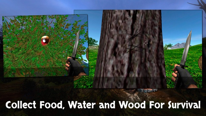 Survival on the Island