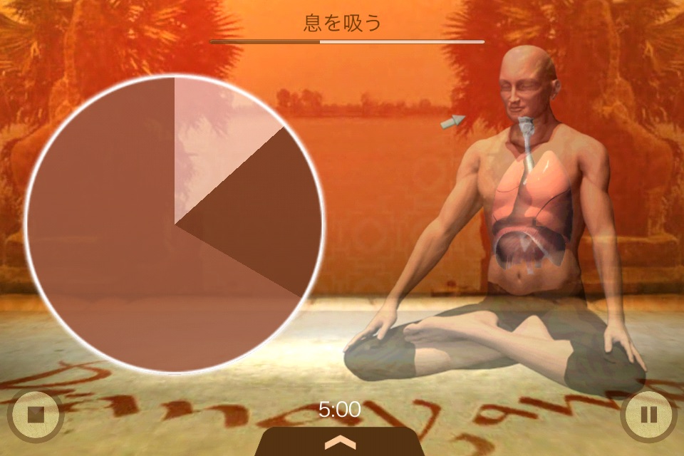 Universal Breathing - Pranayama Lite screenshot 2