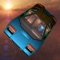 Freestyle driving with jumps and spins