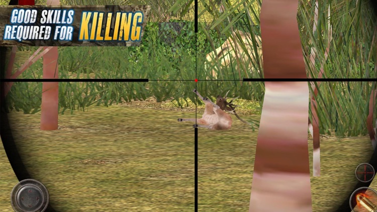 Jungle Deer Shooting Challenge