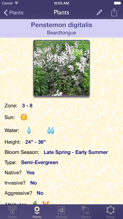 Perennial Match screenshot-3