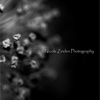 NZ-Photography Nicole Zeelen