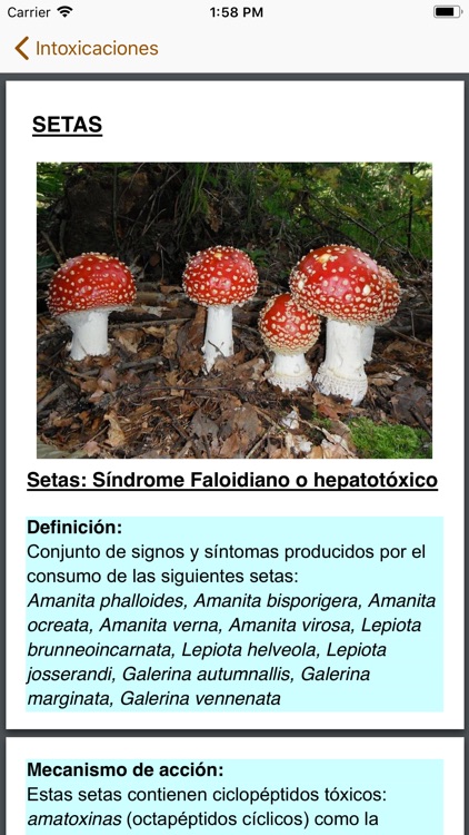 Antídotos screenshot-4