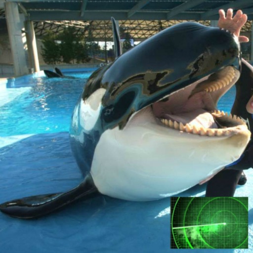 VR Guide: SeaWorld, Orlando FL