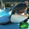 The MotorCo Virtual Reality Guide to SeaWorld application is a virtual reality and location based guide to the attractions in the amusement park located in Orlando, Florida